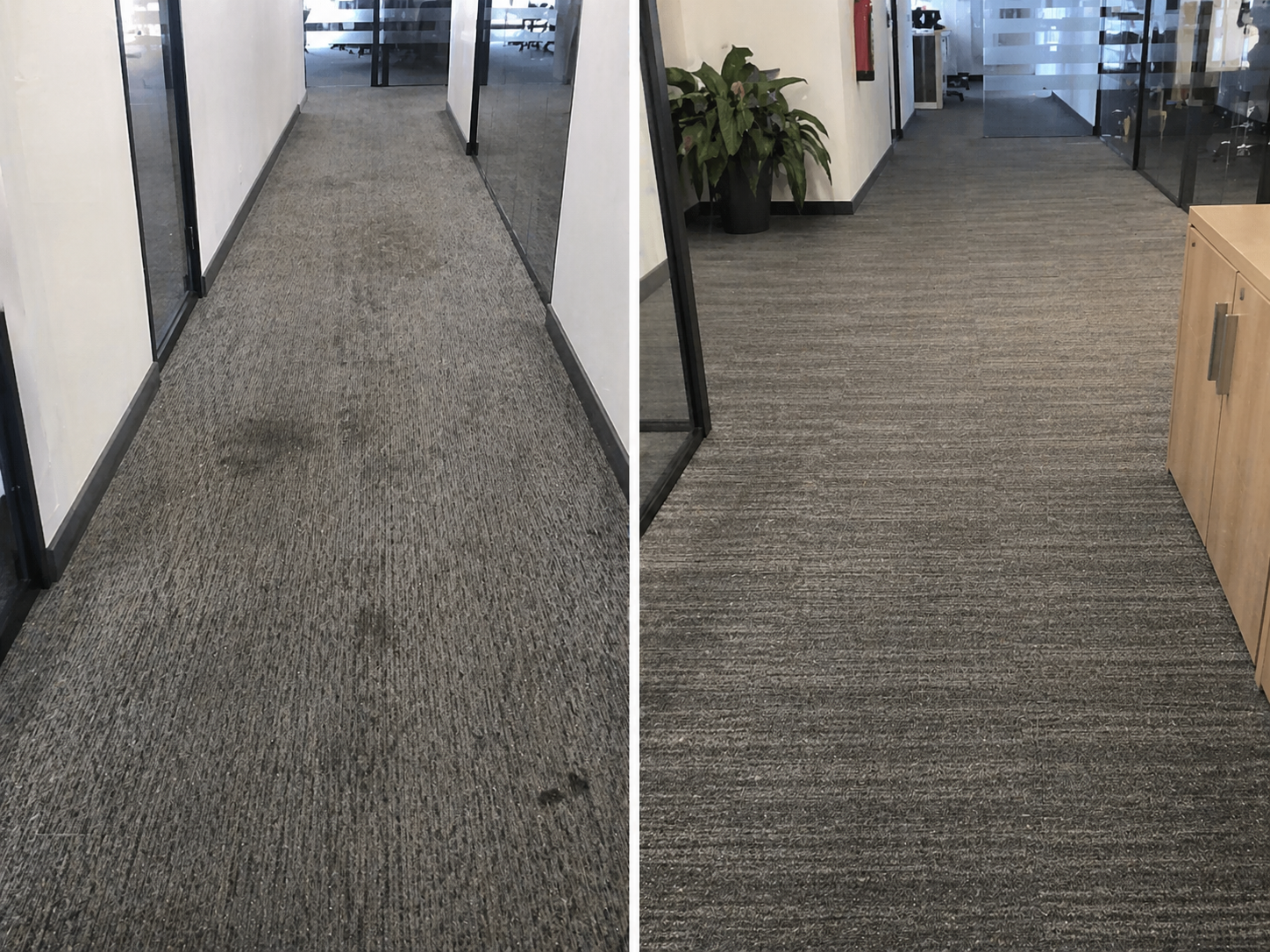 Office hallway carpet before and after cleaning